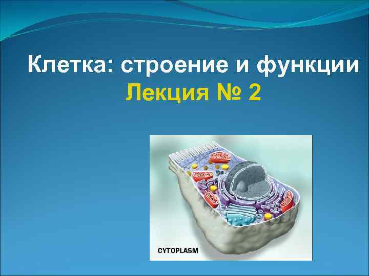 Клетка: строение и функции Лекция № 2 