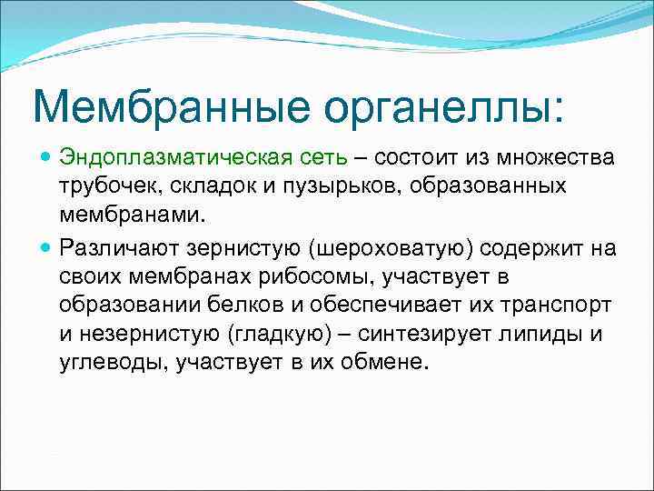 Мембранные органеллы: Эндоплазматическая сеть – состоит из множества трубочек, складок и пузырьков, образованных мембранами.