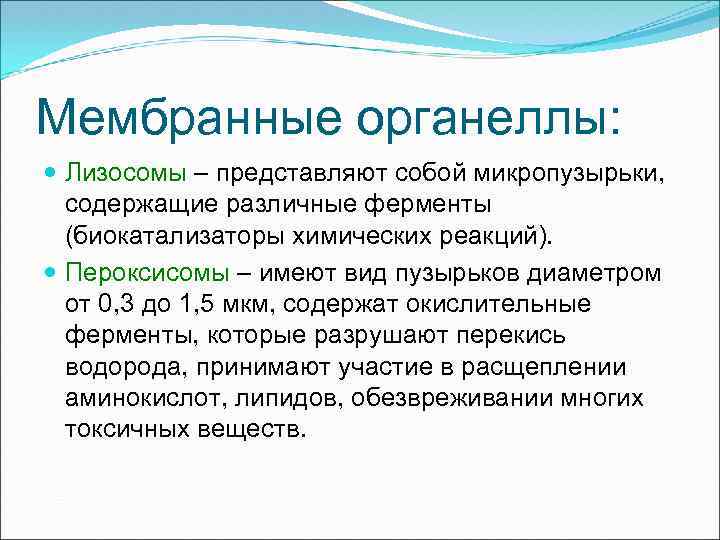 Мембранные органеллы: Лизосомы – представляют собой микропузырьки, содержащие различные ферменты (биокатализаторы химических реакций). Пероксисомы