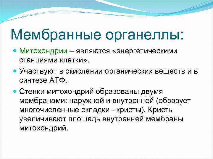 Мембранные органеллы: Митохондрии – являются «энергетическими станциями клетки» . Участвуют в окислении органических веществ