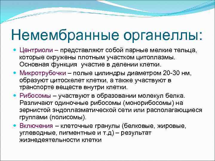 Немембранные органеллы: Центриоли – представляют собой парные мелкие тельца, которые окружены плотным участком цитоплазмы.