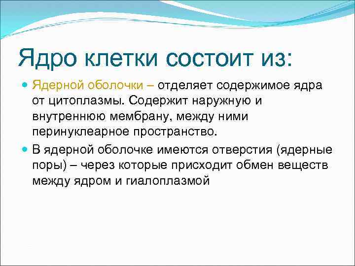 Ядро клетки состоит из: Ядерной оболочки – отделяет содержимое ядра от цитоплазмы. Содержит наружную