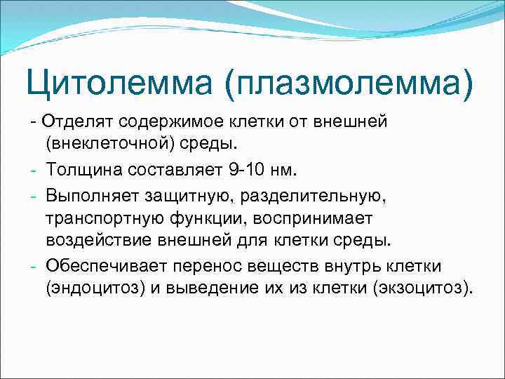Цитолемма (плазмолемма) - Отделят содержимое клетки от внешней (внеклеточной) среды. - Толщина составляет 9