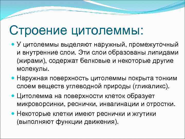 Строение цитолеммы: У цитолеммы выделяют наружный, промежуточный и внутренние слои. Эти слои образованы липидами