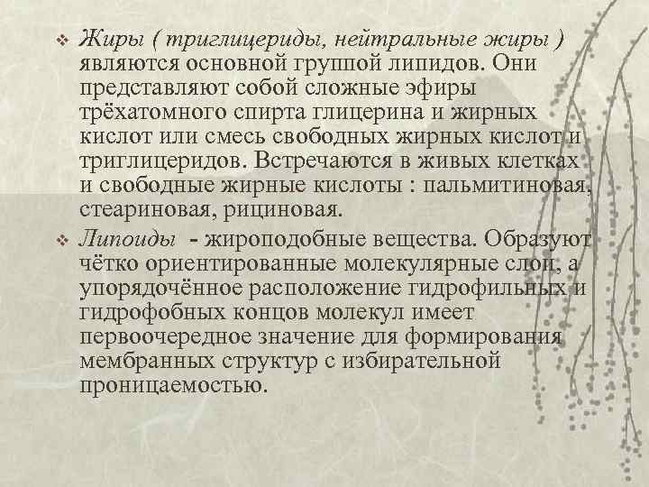 v v Жиры ( триглицериды, нейтральные жиры ) являются основной группой липидов. Они представляют