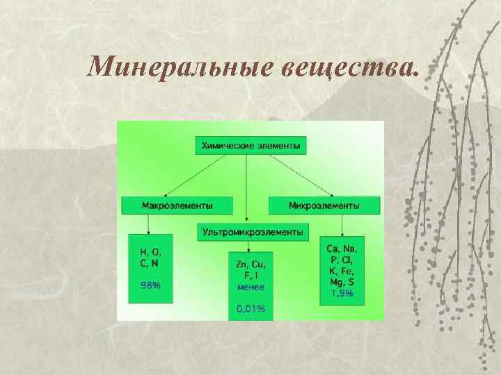 Минеральные вещества. 