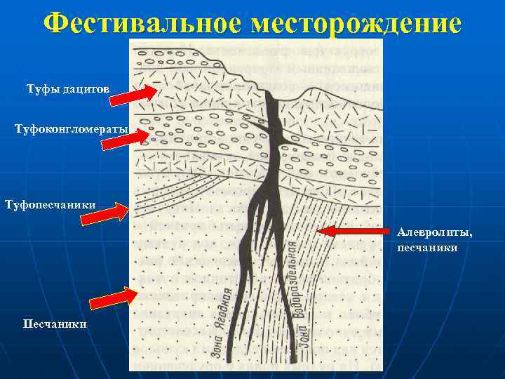 Фестивальное месторождение Туфы дацитов Туфоконгломераты Туфопесчаники Алевролиты, песчаники Песчаники 