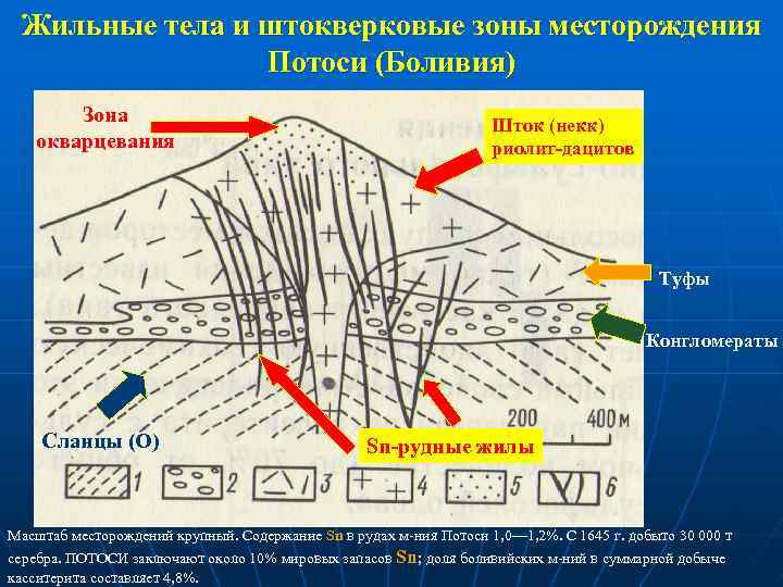 Жильные тела и штокверковые зоны месторождения Потоси (Боливия) Зона окварцевания Шток (некк) риолит-дацитов Туфы