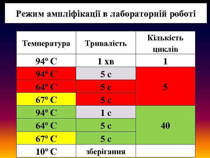 Режим ампліфікації в лабораторній роботі Температура Тривалість 94º С 64º С 67º С 94º