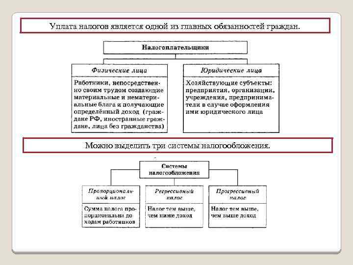 План правовой статус налогоплательщика в рф