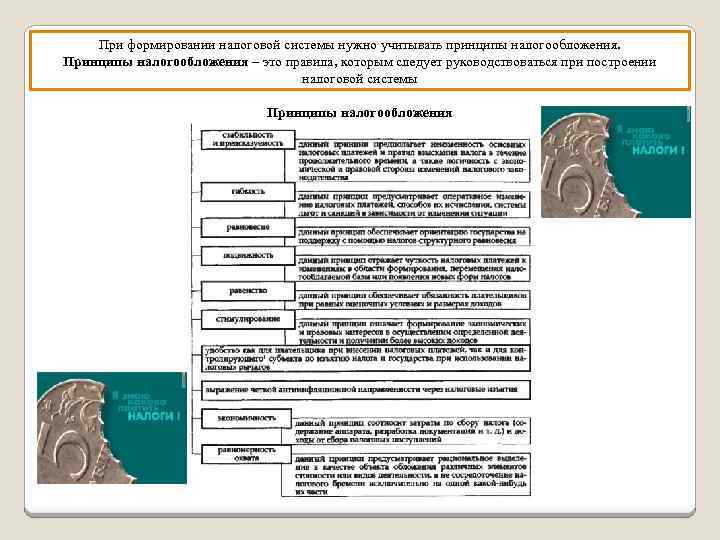При формировании налоговой системы нужно учитывать принципы налогообложения. Принципы налогообложения – это правила, которым