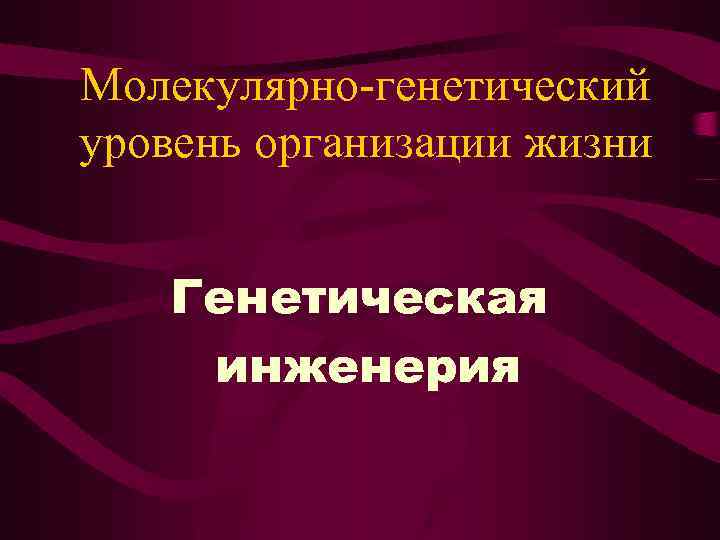 Молекулярно-генетический уровень организации жизни Генетическая инженерия 