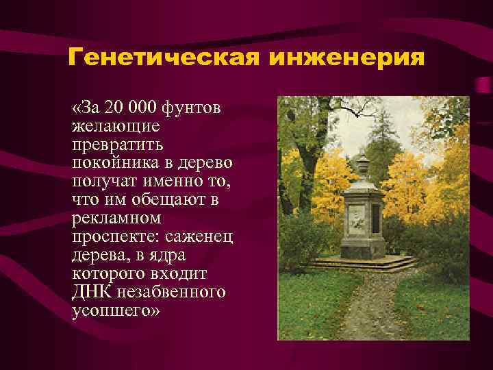 Генетическая инженерия «За 20 000 фунтов желающие превратить покойника в дерево получат именно то,
