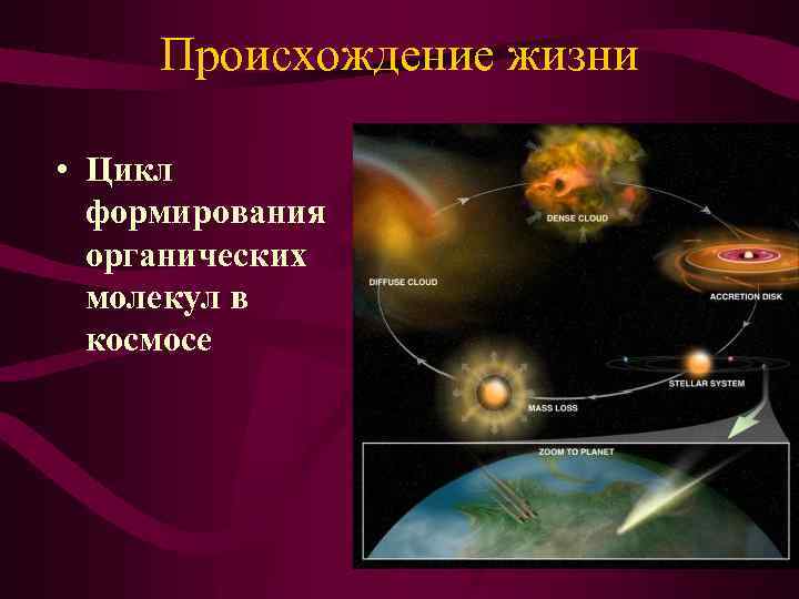 Происхождение жизни • Цикл формирования органических молекул в космосе 