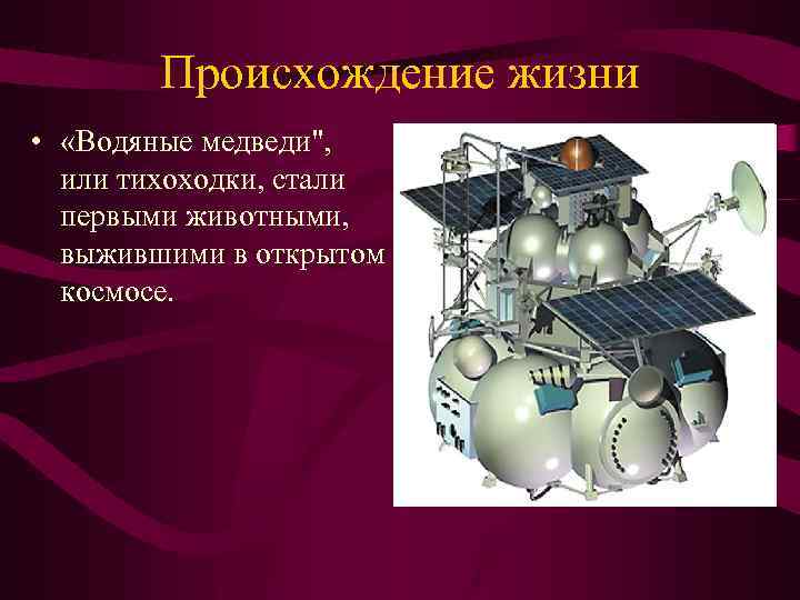 Происхождение жизни • «Водяные медведи