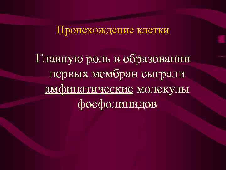 Происхождение клетки Главную роль в образовании первых мембран сыграли амфипатические молекулы фосфолипидов 