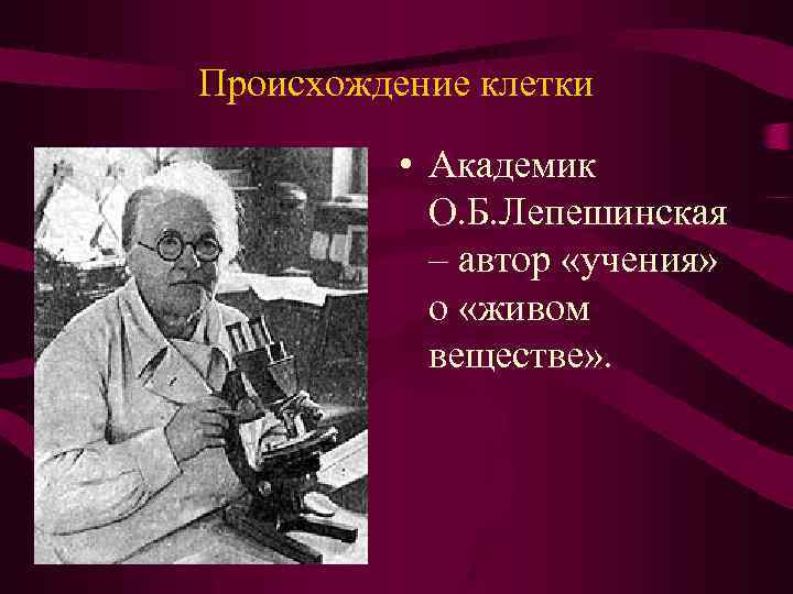 Происхождение клетки • Академик О. Б. Лепешинская – автор «учения» о «живом веществе» .