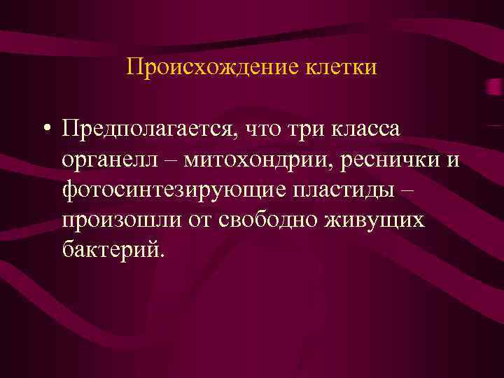 Происхождение клетки • Предполагается, что три класса органелл – митохондрии, реснички и фотосинтезирующие пластиды