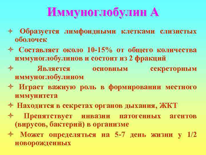    Иммуноглобулин А ò Образуется лимфоидными клетками слизистых  оболочек ò Составляет