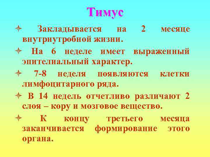    Тимус ò  Закладывается на  2  месяце внутриутробной