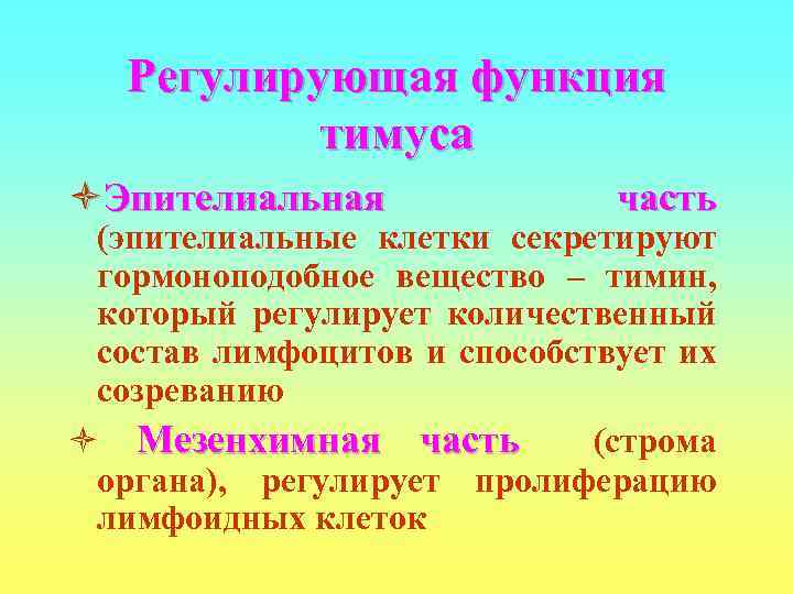  Регулирующая функция  тимуса òЭпителиальная    часть (эпителиальные клетки секретируют