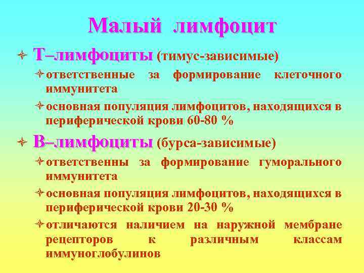  Малый лимфоцит ò  Т–лимфоциты (тимус-зависимые) òответственные за формирование клеточного иммунитета òосновная
