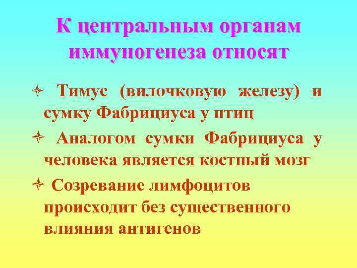  К центральным органам  иммуногенеза относят ò Тимус (вилочковую железу) и сумку Фабрициуса
