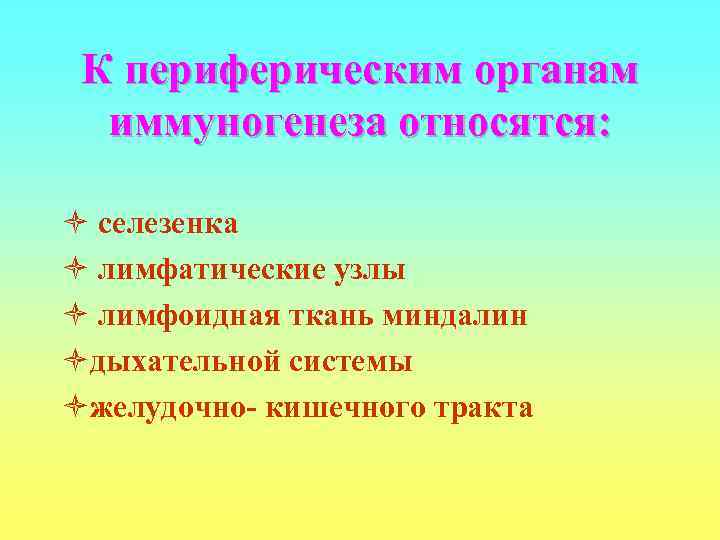  К периферическим органам  иммуногенеза относятся:  ò селезенка ò лимфатические узлы ò