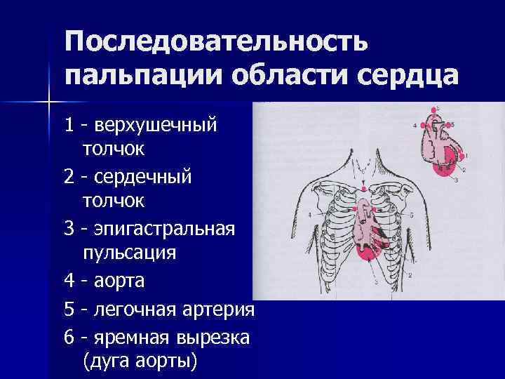 Область сердечного толчка