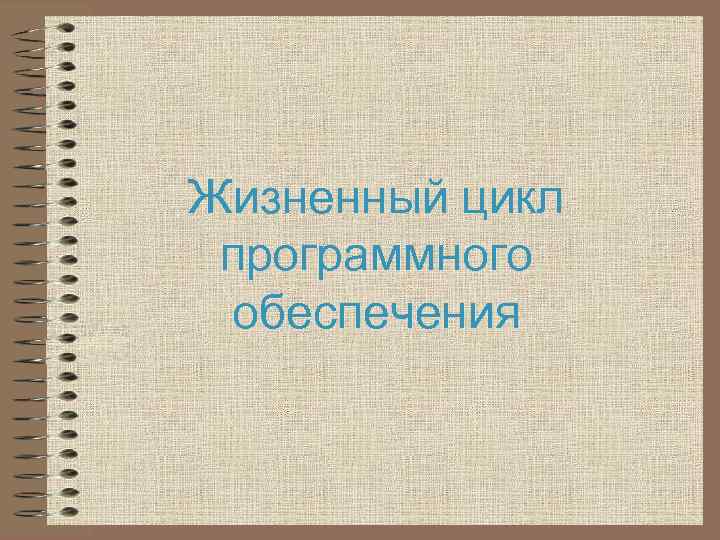 Жизненный цикл программного обеспечения 