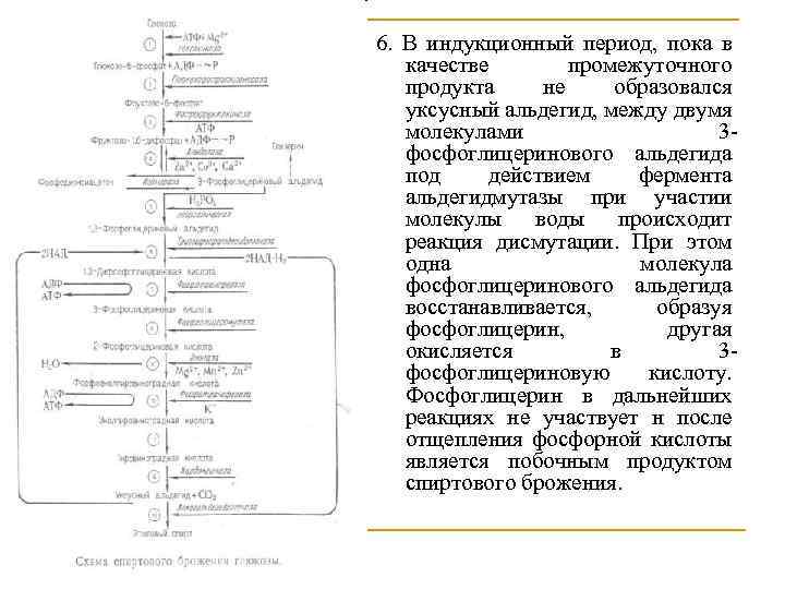 6. В индукционный период, пока в качестве промежуточного продукта не образовался уксусный альдегид, между