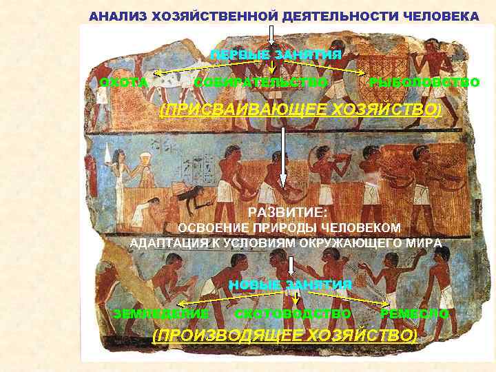 АНАЛИЗ ХОЗЯЙСТВЕННОЙ ДЕЯТЕЛЬНОСТИ ЧЕЛОВЕКА ПЕРВЫЕ ЗАНЯТИЯ ОХОТА СОБИРАТЕЛЬСТВО РЫБОЛОВСТВО (ПРИСВАИВАЮЩЕЕ ХОЗЯЙСТВО) РАЗВИТИЕ: ОСВОЕНИЕ ПРИРОДЫ