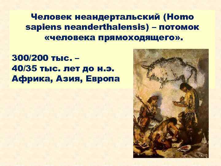Человек неандертальский (Homo sapiens neanderthalensis) – потомок «человека прямоходящего» . 300/200 тыс. – 40/35