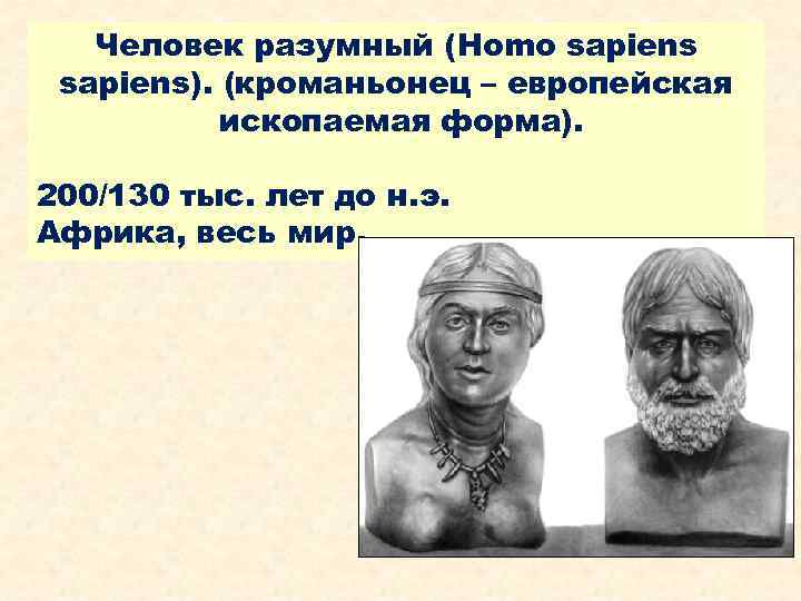 Человек разумный (Homo sapiens). (кроманьонец – европейская ископаемая форма). 200/130 тыс. лет до н.