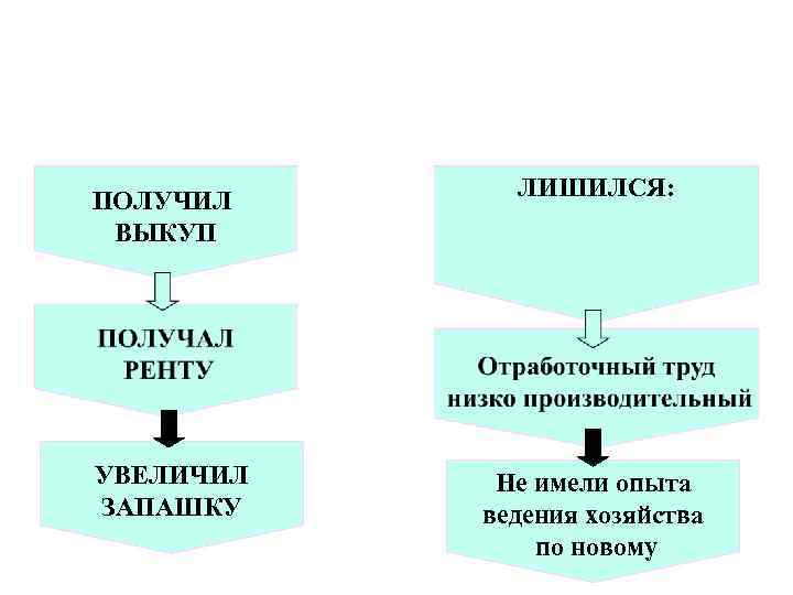 ПОЛУЧИЛ ВЫКУП УВЕЛИЧИЛ ЗАПАШКУ ЛИШИЛСЯ: Не имели опыта ведения хозяйства по новому 