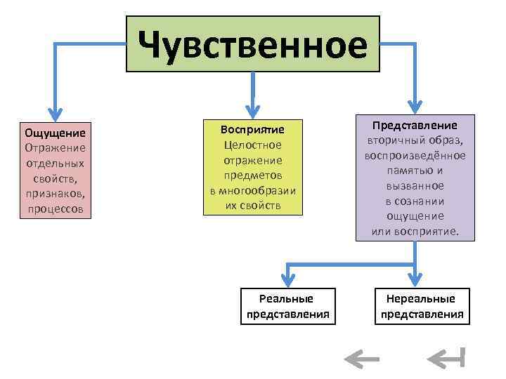 Чувственное Ощущение Отражение отдельных свойств, признаков, процессов Восприятие Целостное отражение предметов в многообразии их