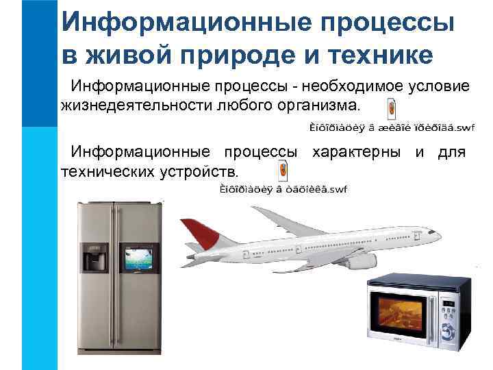 Информационные процессы в живой природе и технике Информационные процессы - необходимое условие жизнедеятельности любого