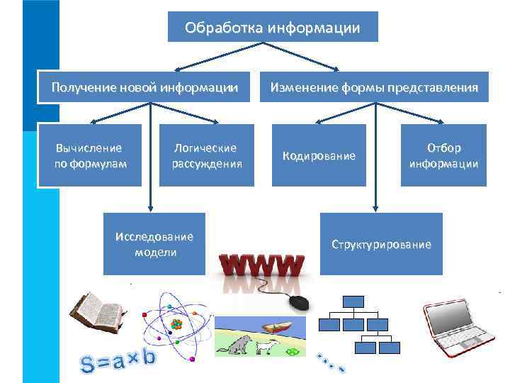 Обработка информации Получение новой информации Вычисление по формулам Логические рассуждения Исследование модели Изменение формы