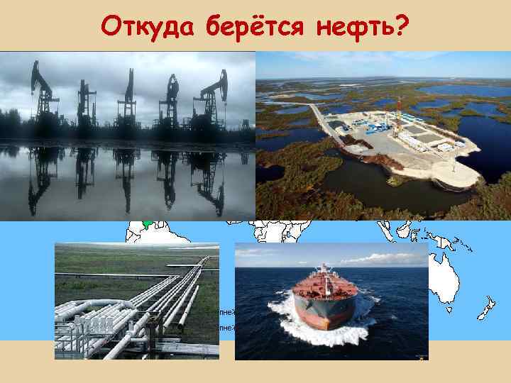 Откуда берётся нефть? 