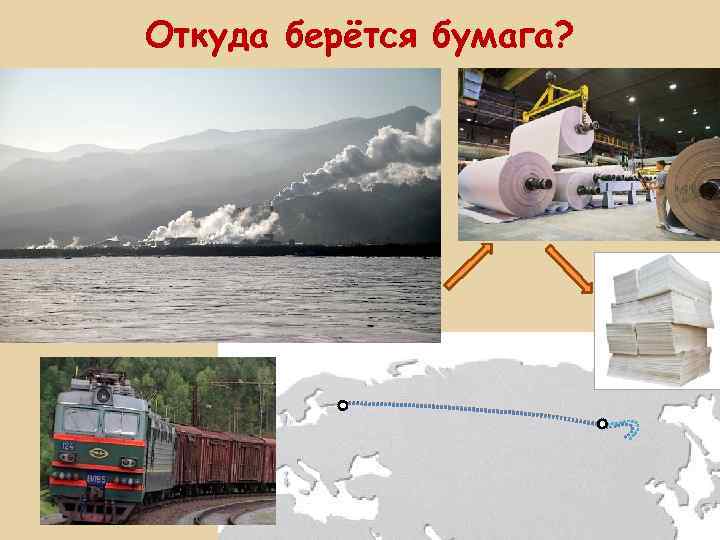 Откуда берётся бумага? 