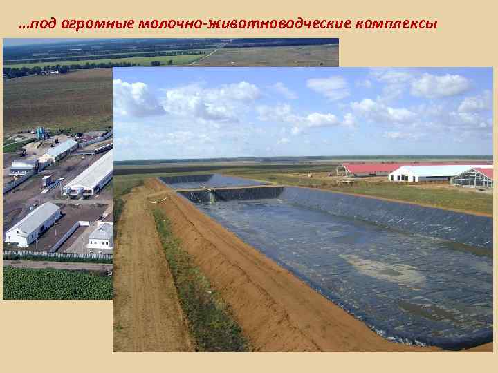 …под огромные молочно-животноводческие комплексы 