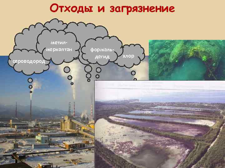 Отходы и загрязнение метилмеркаптан сероводород формальдегид хлор СУЛЬФАТЫ ФОСФАТЫ НИТРАТЫ ТЯЖЁЛЫЕ МЕТАЛЛЫ ФЕНОЛЫ ДИОКСИНЫ