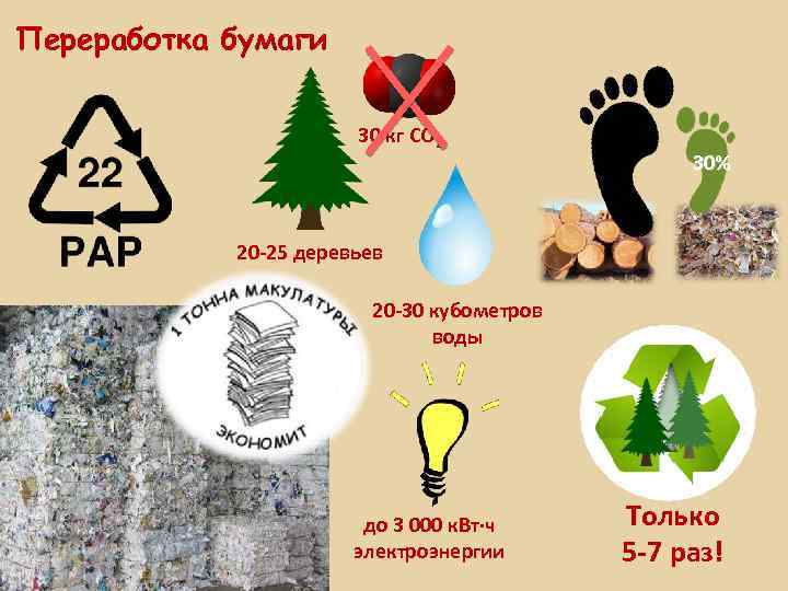 Переработка бумаги 30 кг CO 2 30% 20 -25 деревьев 20 -30 кубометров воды
