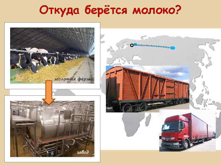 Откуда берётся молоко? 