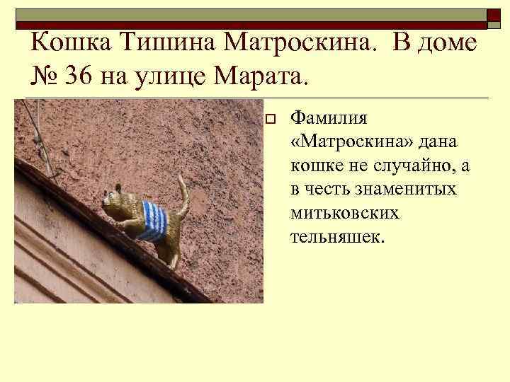 Фамилия марата. Тишина Митьковна Матроскина. Тишина Матроскина в Санкт-Петербурге. Кошка тишина Матроскина в Санкт-Петербурге. Тишина Матроскина памятник.