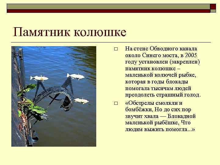 Памятник колюшке o o На стене Обводного канала около Синего моста, в 2005 году