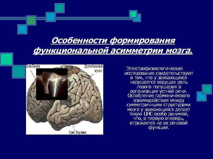 Особенности формирования функциональной асимметрии мозга. Электрофизиологические исследования свидетельствуют о том, что у заикающихся нарушается