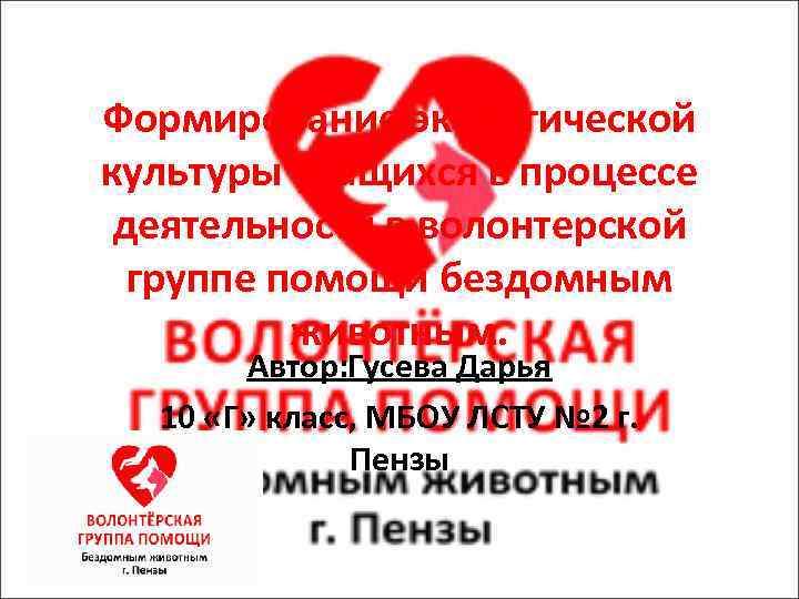 Формирование экологической культуры учащихся в процессе деятельности в волонтерской группе помощи бездомным животным. Автор: