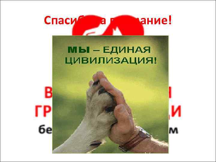 Спасибо за внимание! 