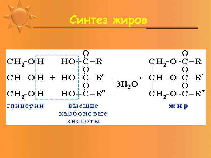 Синтез жиров 